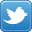 Scouts Rally SA on Twitter